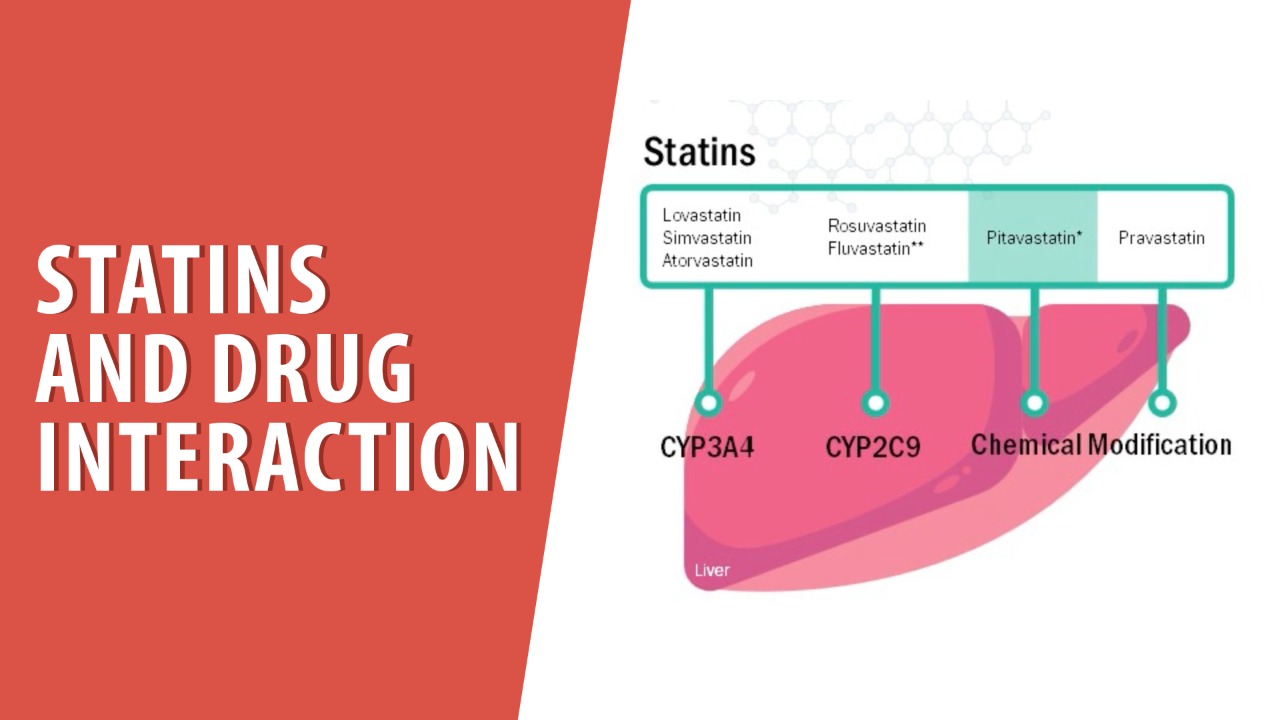 Statin and drug-drug interactions